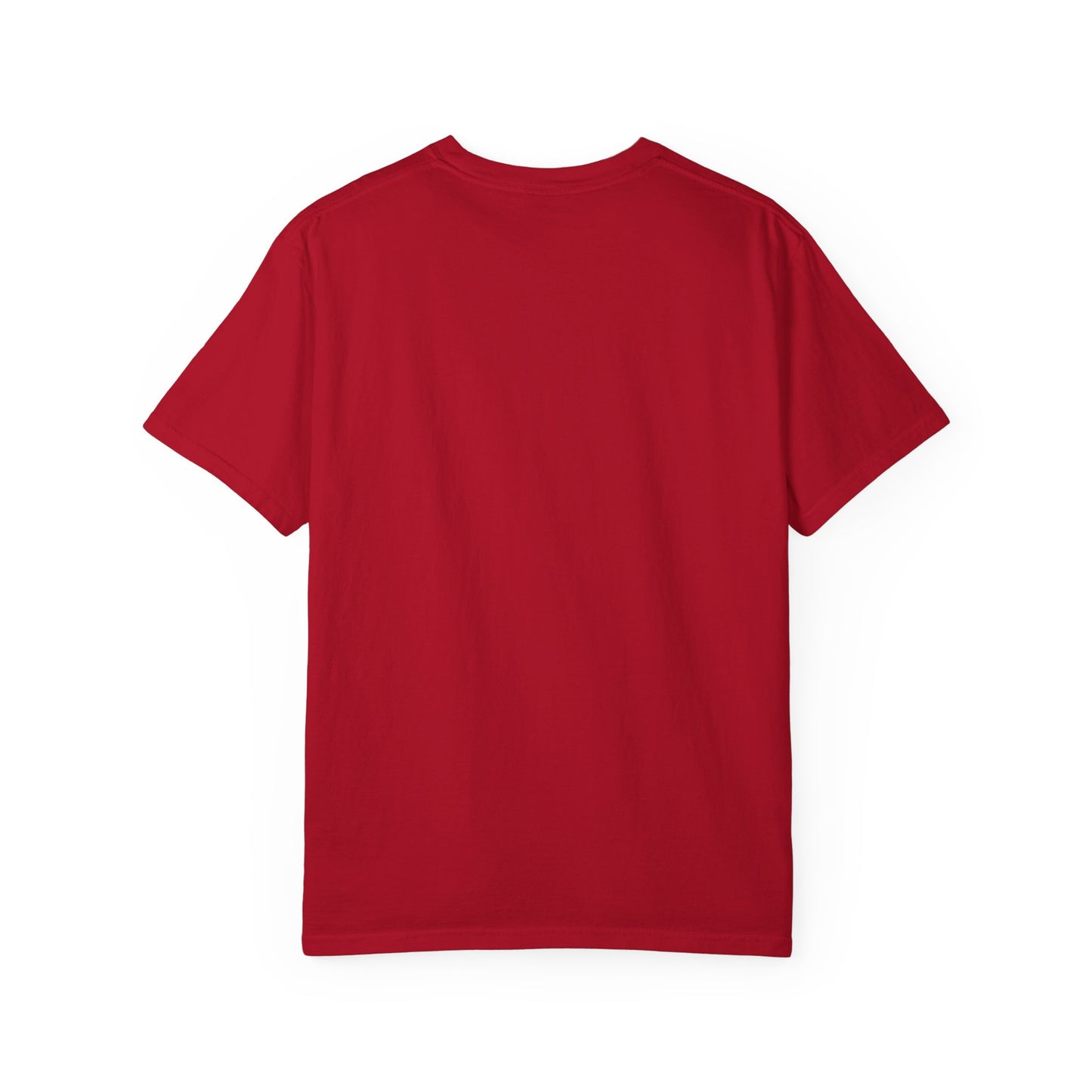 "Being Ignorant" Quote T-Shirt - Benjamin Franklin Wisdom